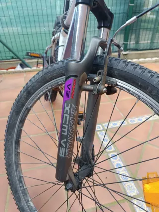 Bicicleta Orbea Lokiz 13.5 Morado/Blanco