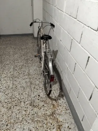 Peugeot paseo mujer
