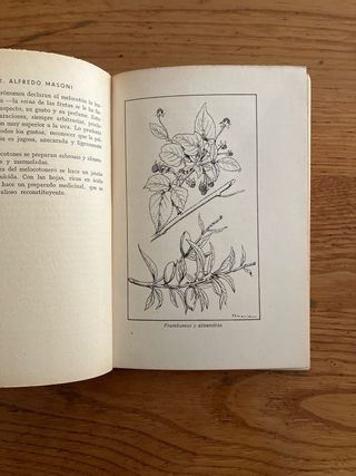 LA FRUTA COMO ALIMENTO Y COMO MEDICINA