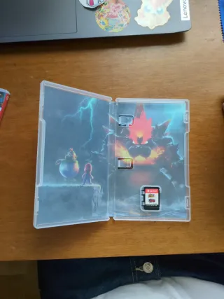 Super Mario 3D World + Bowser's Fury Switch