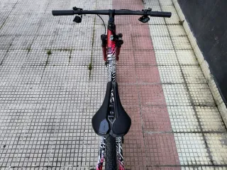 KTM Scarp EVO III T. L montaje Biziebike rueda 29"