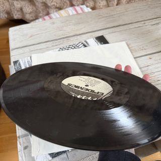 Epidemics LP 2013 Punk Rock Vinilo