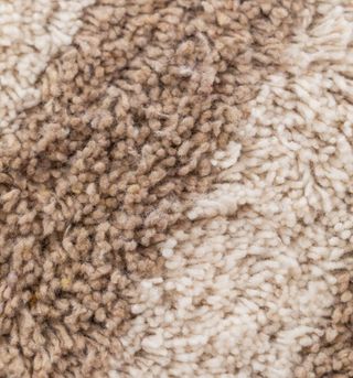 Alfombra en Algodón (246x160 cm)