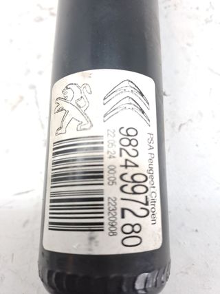 AMORTIGUADOR TRASERO IZQUIERDO CITROEN C3 722005