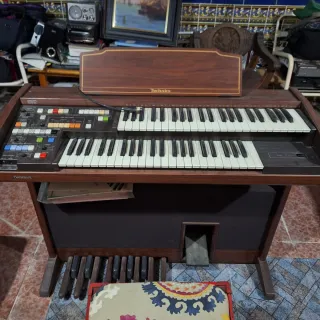 Órgano Electrónico Technics PCM Sound