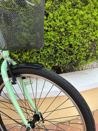 Bicicleta de paseo Indur