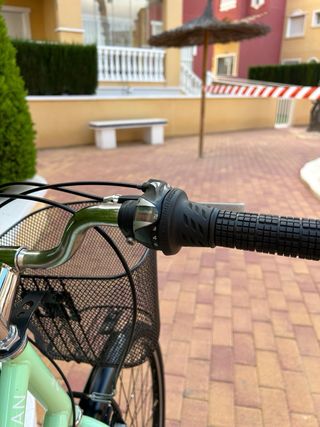 Bicicleta de paseo Indur