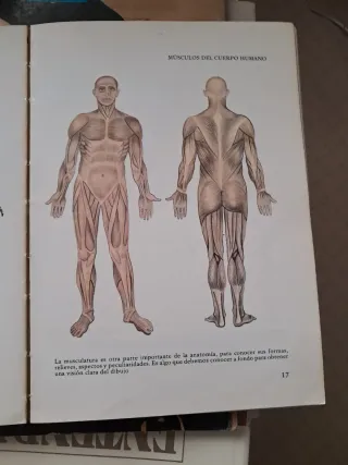 Libro de pintura y dibujo