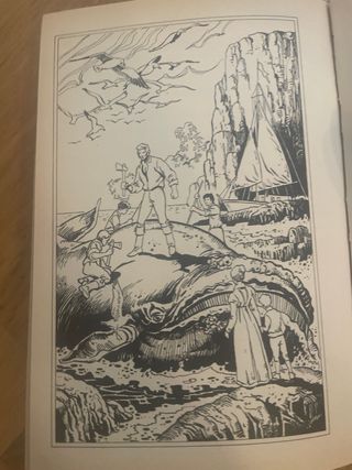 Libro Los Robinsones Suizos 1991