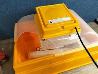 !Tapa rota! Incubadora de huevos covatutto 54