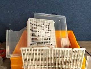 !Tapa rota! Incubadora de huevos covatutto 54