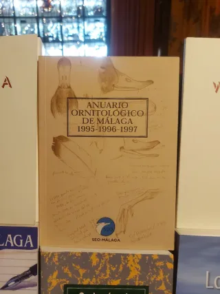 RecuerdoDelPerchel Los versoDeLaMedusa Wallada7y6