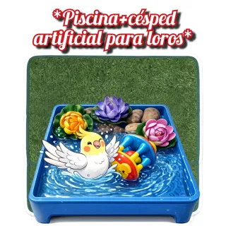 Piscina y césped artificial para loros
