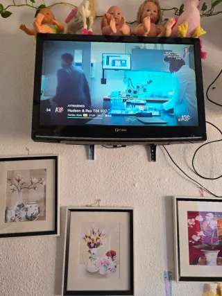Televisor Funai de 32 pulgada de repente se va la