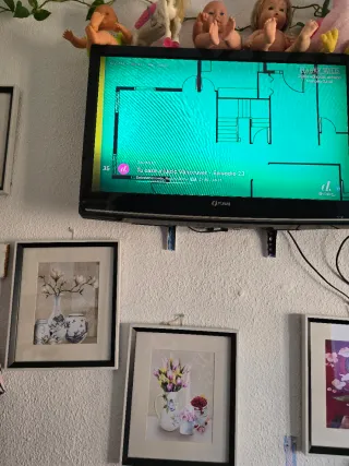 Televisor Funai de 32 pulgada de repente se va la