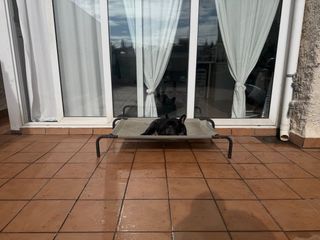 Hamaca para perro elevada