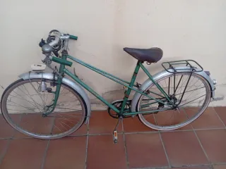 Bicicleta Clásica Verde