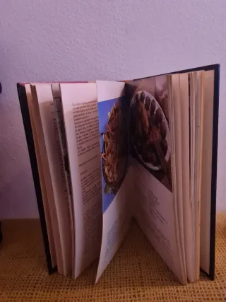 Libro de la cocina española,NéstorLuján y Perucho