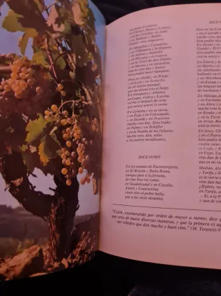 Libro de la cocina española,NéstorLuján y Perucho