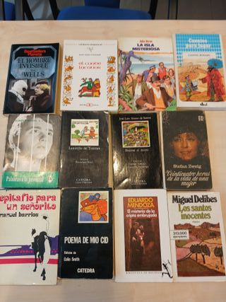 Lote de 12 Libri Classici e Contemporanei