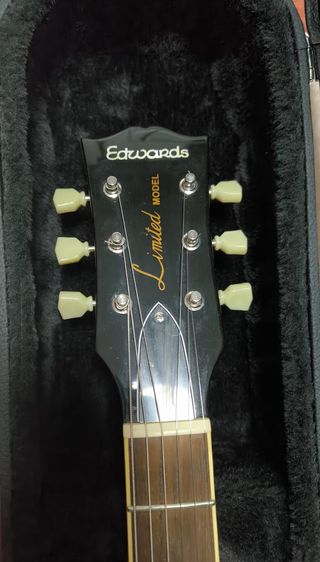 Edwards LP125-D con modificaciones y Hard Case