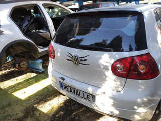 Despiece Volkswagen Golf V 2.0 Tdi (140 Cv)