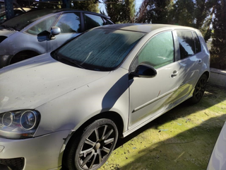 Despiece Volkswagen Golf V 2.0 Tdi (140 Cv)