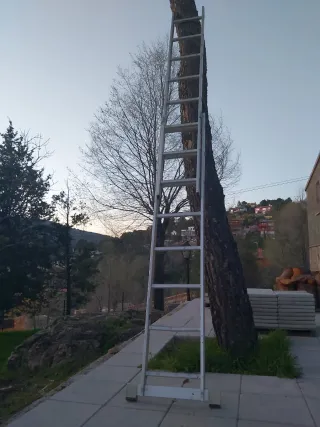 Escalera de aluminio de 2 tramos