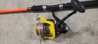 Lote 5 canne da pesca con mulinelli