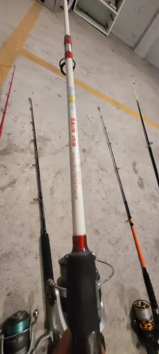 Lote 5 canne da pesca con mulinelli