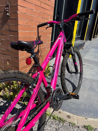 Bicicleta Monty Rosa