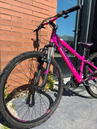 Bicicleta Monty Rosa