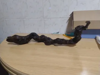 Rama de vid para acuario
