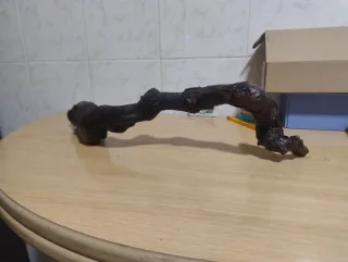 Rama de vid para acuario