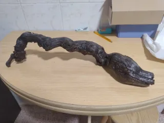 Rama de vid para acuario