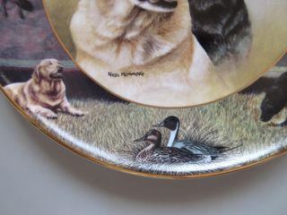 Piatto N2 Cani Royal Doulton Franklin Mint