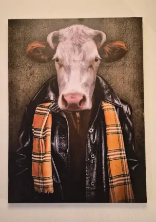 Colección 8 Cuadros Animales Estilo Vintage