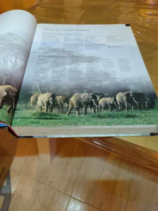 Grandes de alhambra: animal (Spanish Edition)