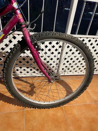 Bicicleta 26 Morada Rueda trasera de rodillo