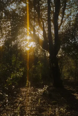 Filtros Fotografía 52mm Efecto CINE