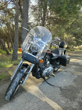 Harley Davidson Superlow 1200T San Adrian Navarra