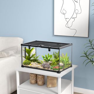 Terrario para Reptiles Elevado Con Cerradura Y Puerta para Alimentación, Terrario para Tortugas Y Serpientes en Vidrio Templado Y Red Metálica, 50X30X25 Cm, Negro