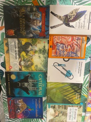 Lote de 24 libros juveniles e infantiles