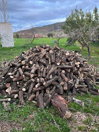 Leña de olivo para chimenea , estufas o barbacoa