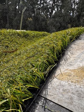 Césped artificial reciclado desde 4€/m2