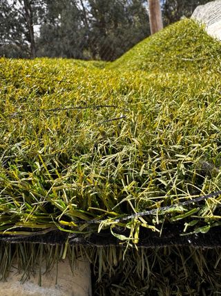 Césped artificial reciclado desde 4€/m2