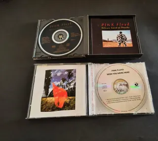 Pink Floyd - Delicate Sound of Thunder CD