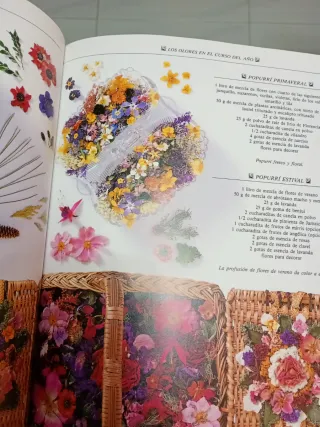 El libro del Popurri