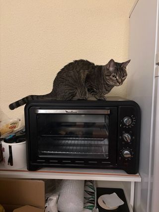 Horno de sobremesa Moulinex 45L