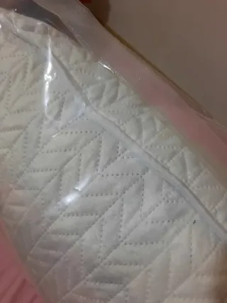 Coppia di guanciali. Cuscini